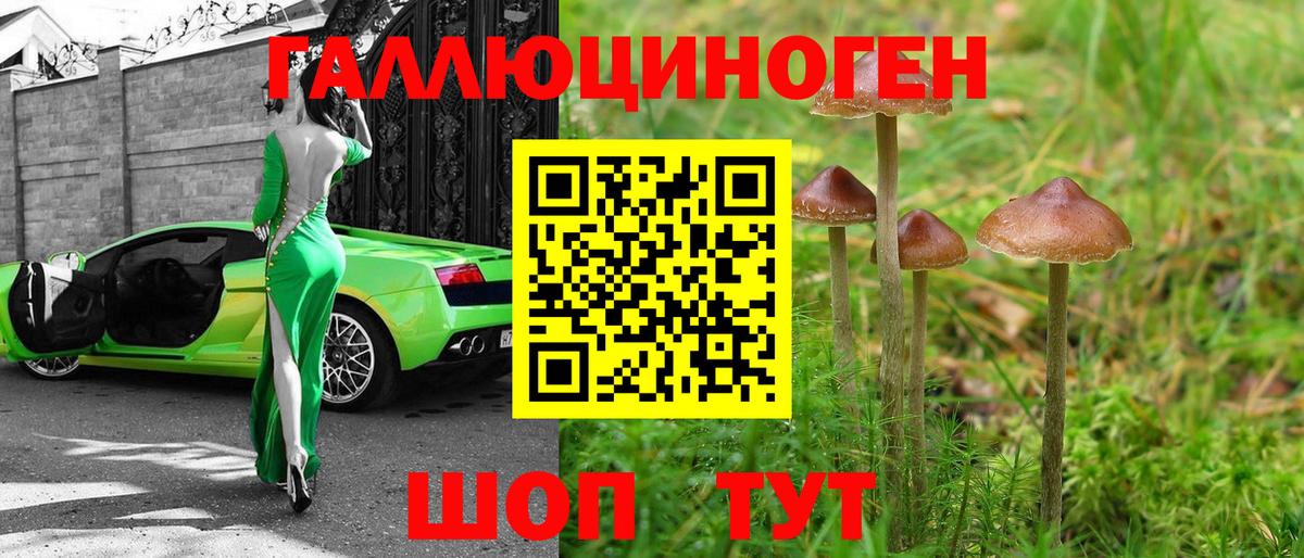 Псилоцибиновые грибы GOLDEN TEACHER  Псилоцибиновые грибы Psilocybine cubensis  Выкса  Вход с VPN 